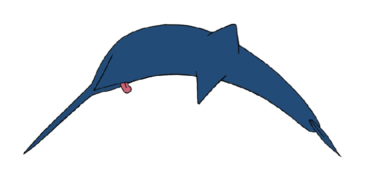 swordfish-animation-base-color